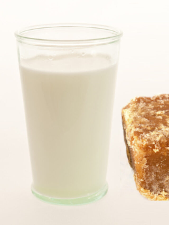 Benefits of Drinking Milk With Jaggery: गर्म दूध के साथ गुड़ खाने के फायदे