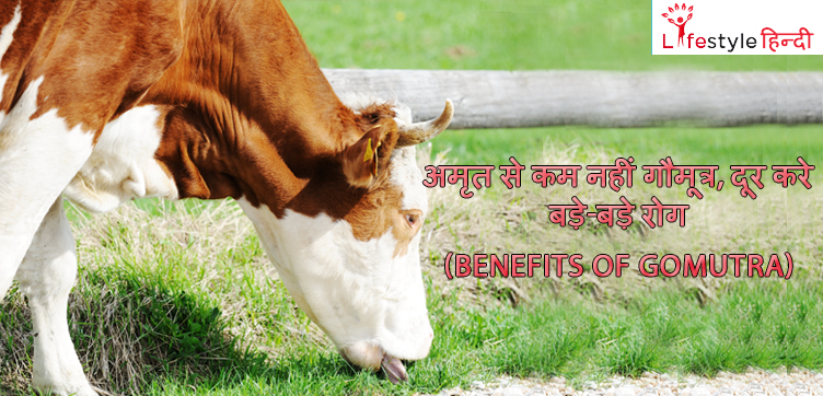 Benefits of Gomutra